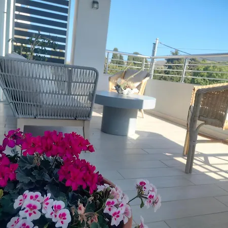 Stylish Close To Marina Apartment