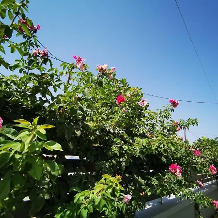 Stylish Close To Marina Apartmán